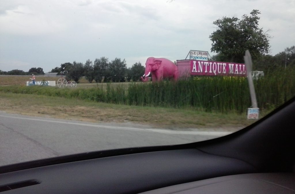 Pink Elephant on Route 66! by Buzze A. Long 